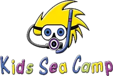 Kids Sea Camp